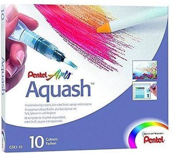 Pentel Brushpen Aquash Set Set 10 Stuks