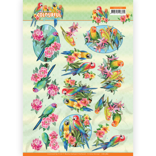 3D Cutting Sheet - Amy Design - Colourful Feathers - Parrot